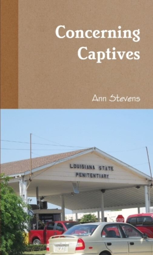Concerning Captives av Ann Stevens (Paperback)