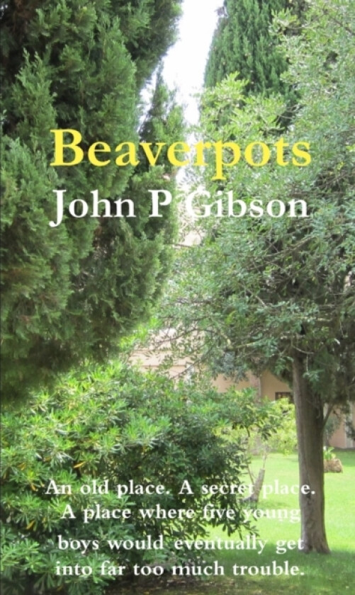 Beaverpots av John P Gibson (Paperback)