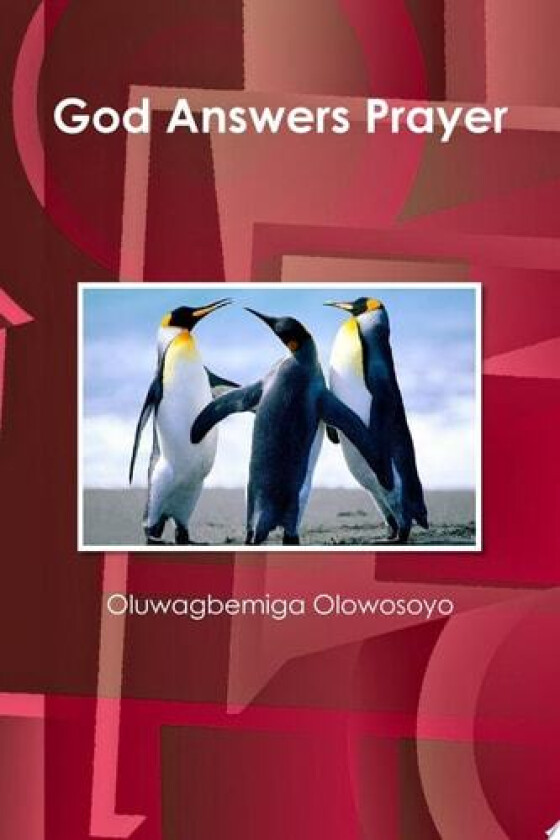 God Answers Prayer av Oluwagbemiga Olowosoyo (Paperback)