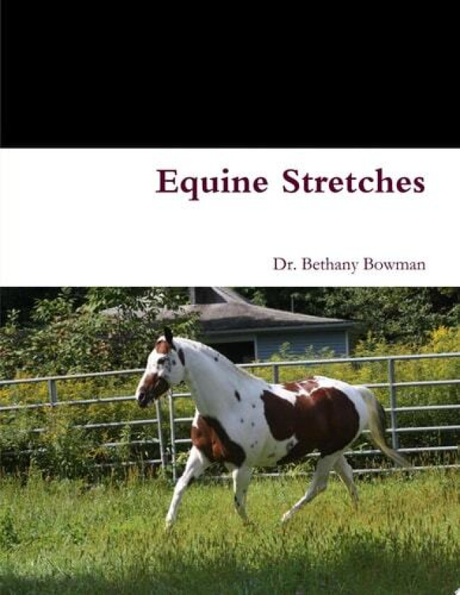 Equine Stretches av Bethany Bowman (Paperback)