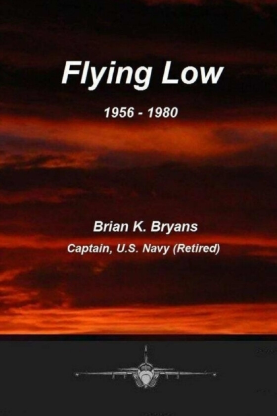 Flying Low av Brian Bryans (Paperback)