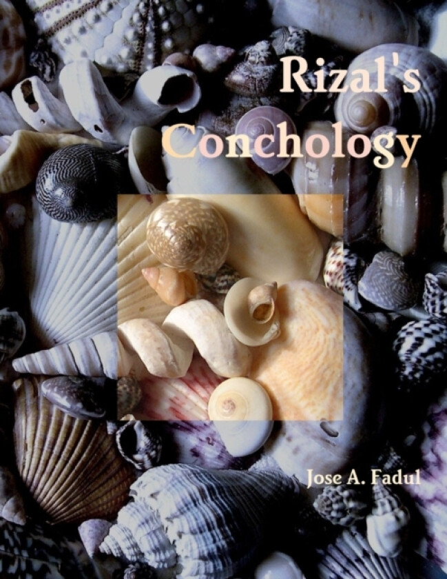 Rizal's Conchology av Jose A. Fadul (Paperback)