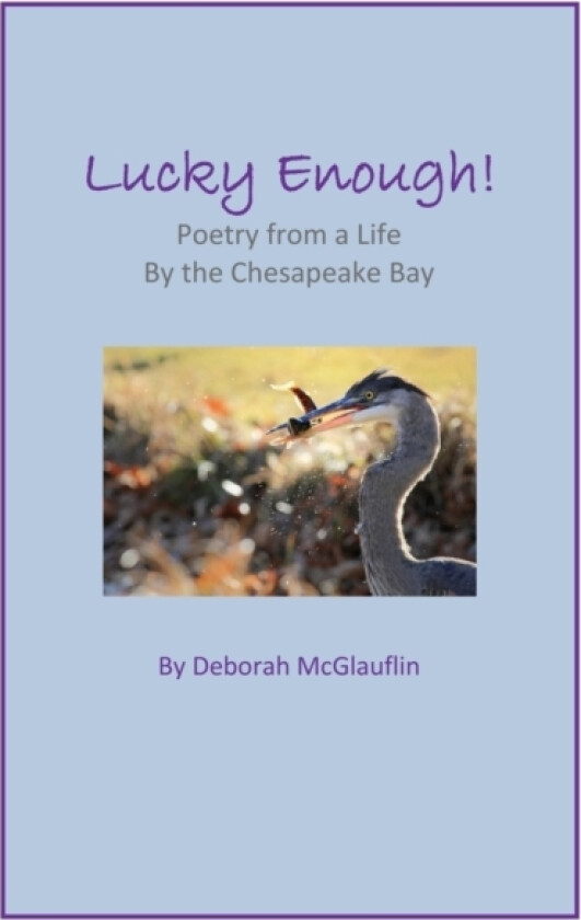 Lucky Enough! av Deborah McGlauflin (Paperback)