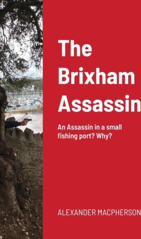 The Brixham Assassin av Alexander MacPherson (Paperback)