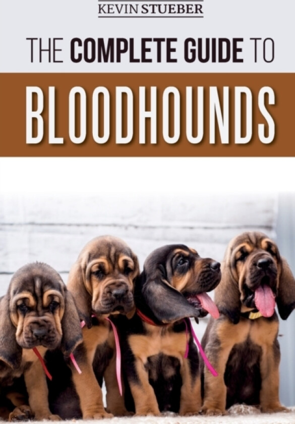 The Complete Guide to Bloodhounds av Kevin Stueber (Paperback)
