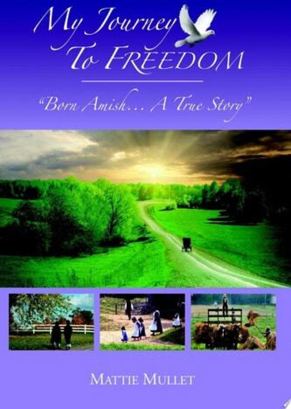 My Journey To Freedom av Mattie Mullet (Paperback)