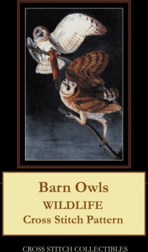 Barn Owls av Kathleen George, Cross Stitch Collectibles (Paperback)