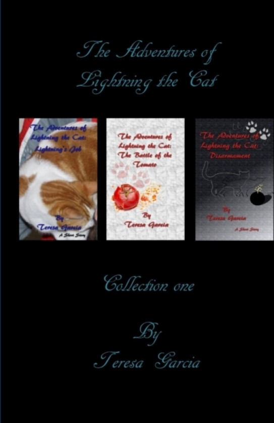 The Adventures of Lightning the Cat: Collection One av Teresa Garcia (Paperback)