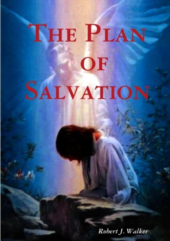 The Plan of Salvation av Robert J. Walker (Paperback)