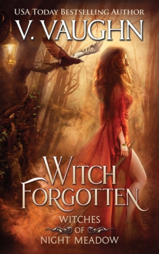 Witch Forgotten av V Vaughn (Paperback)