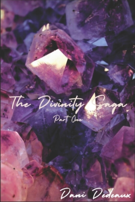 Divinity av Dani Dedeaux (Paperback)
