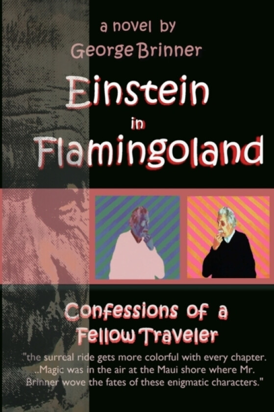 Einstein in Flamingoland av George Brinner (Paperback)