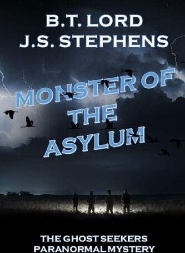 Monster of the Asylum av J S Stephens, B T Lord (Paperback)