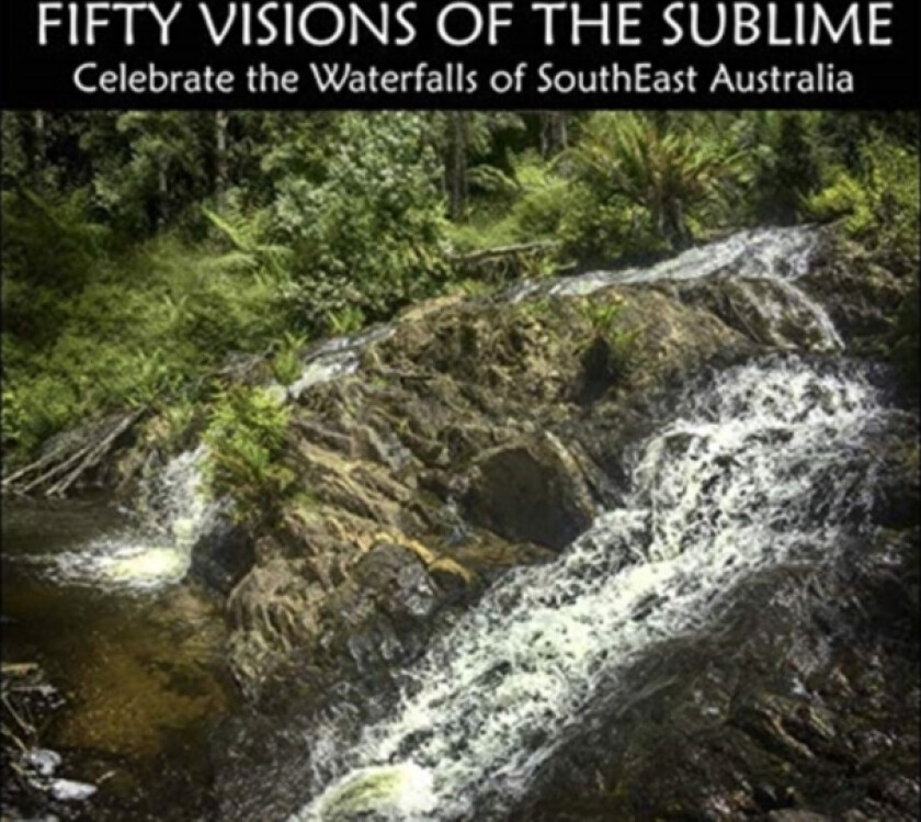 Fifty Visions of the Sublime av Peter Quinton (Paperback)