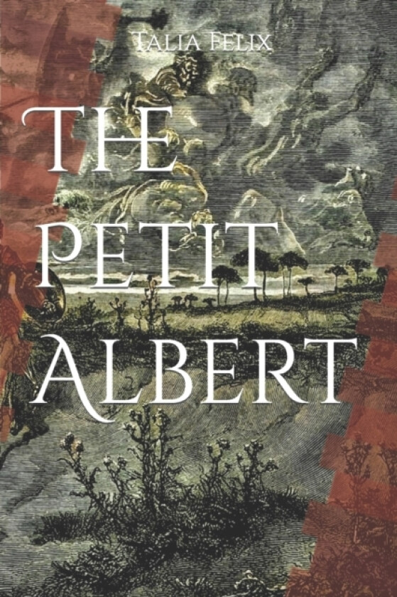 The Petit Albert av Albertus Parvus Lucius, Talia Felix (Paperback)