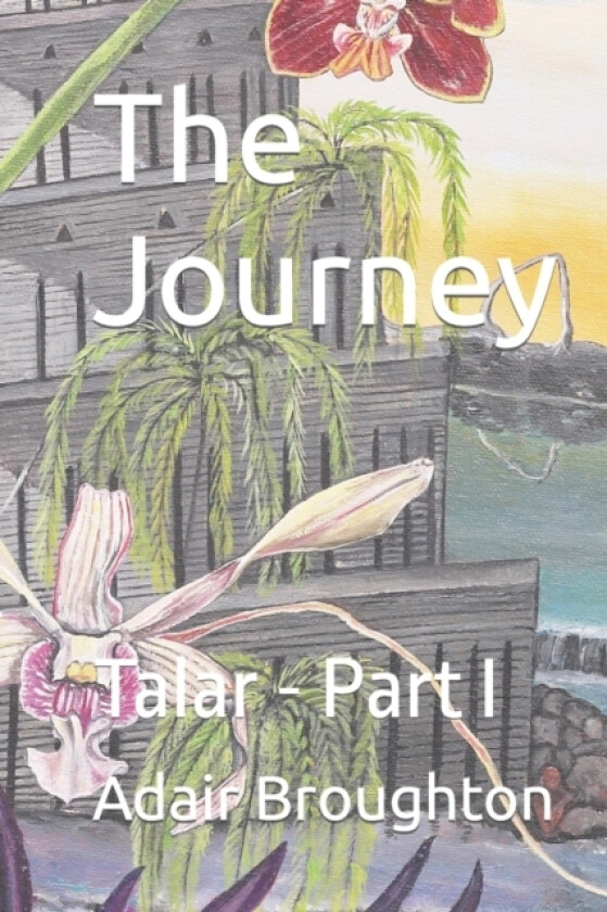 The Journey av Adair Broughton (Paperback)
