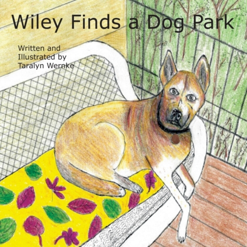 Wiley Finds a Dog Park av Taralyn Wernke (Paperback)
