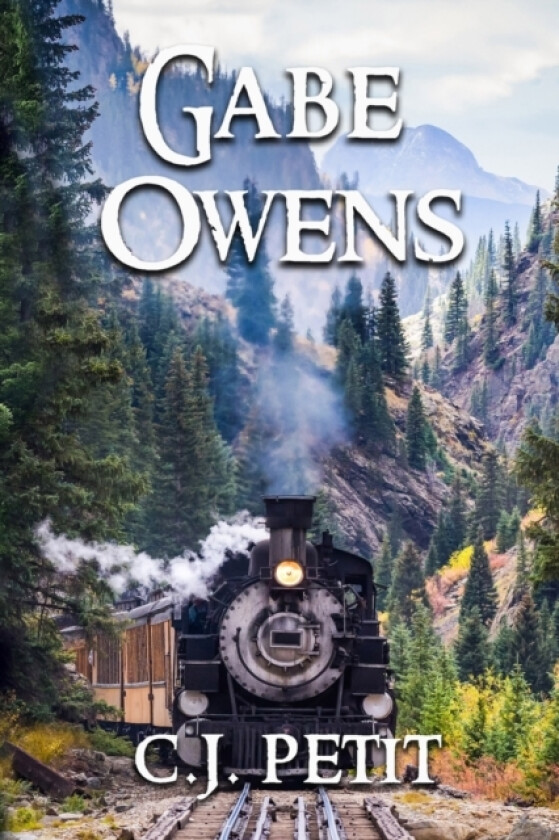 Gabe Owens av C J Petit (Paperback)