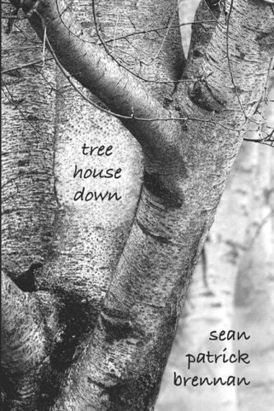 tree house down av Sean Patrick Brennan (Paperback)