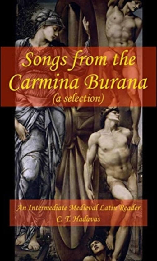 Songs from the Carmina Burana av C T Hadavas (Paperback)