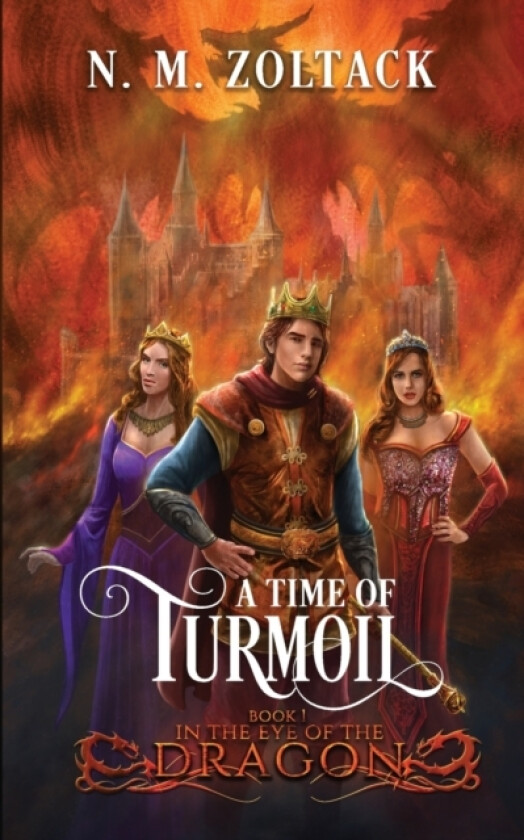 A Time of Turmoil av N M Zoltack (Paperback)