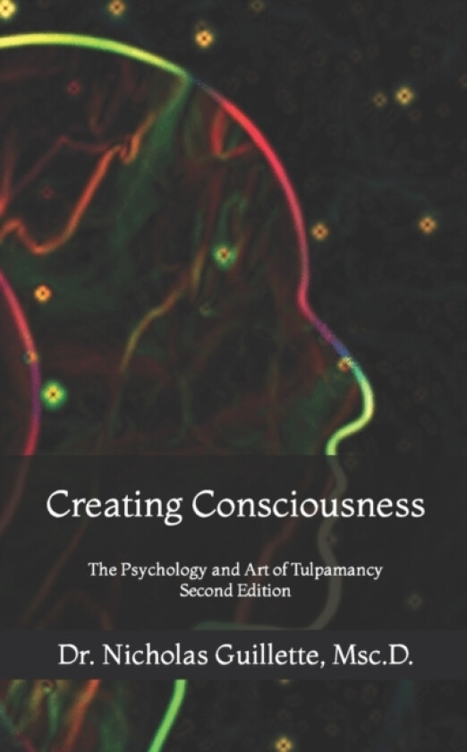 Creating Consciousness av Nicholas Guillette (Paperback)