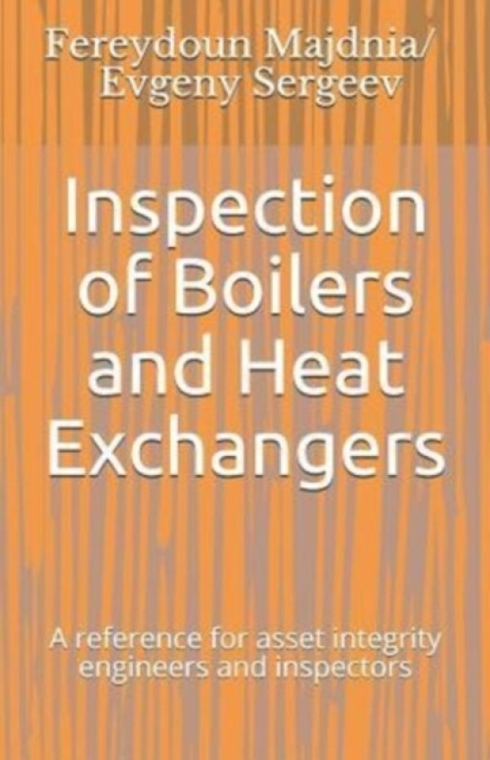 Inspection of Boilers and Heat Exchangers av Evgeny Sergeev, Fereydoun Majdnia (Paperback)