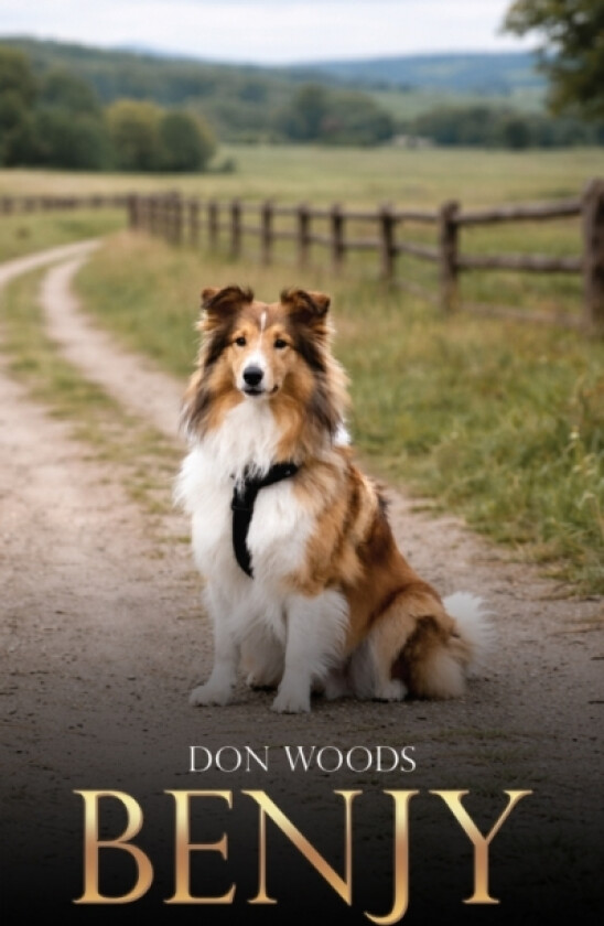 Benjy av Don Woods (Paperback)