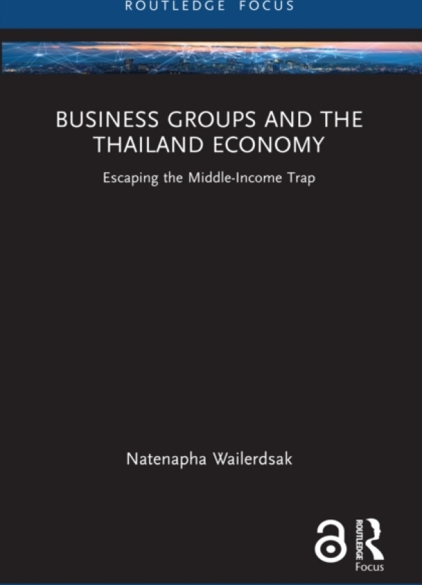 Business Groups and the Thailand Economy av Natenapha Wailerdsak (Paperback)