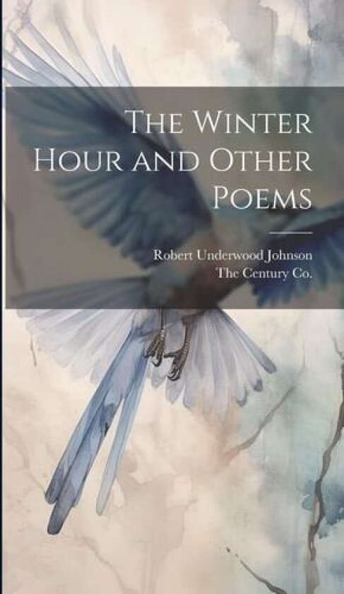 The Winter Hour and Other Poems av Robert Underwood Johnson (Hardcover)
