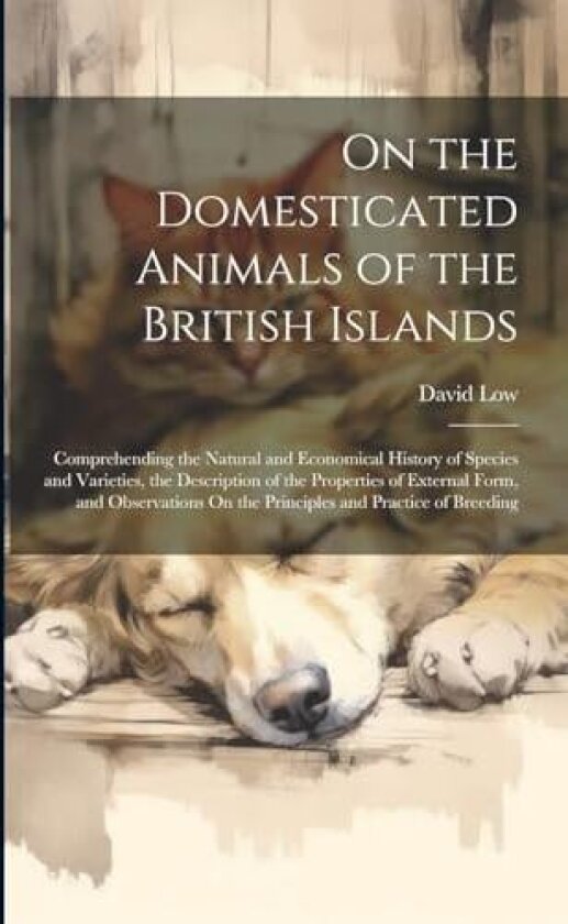 On the Domesticated Animals of the British Islands av David Low (Paperback)