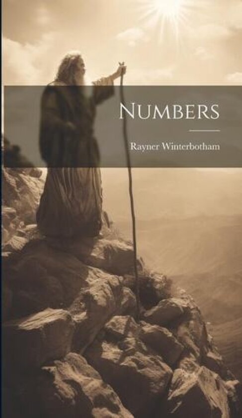 Numbers av Rayner Winterbotham (Hardcover)