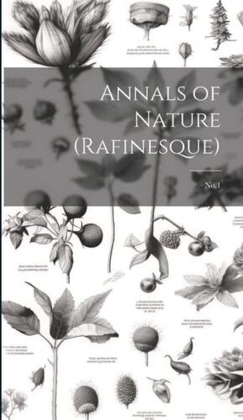 Annals of Nature (Rafinesque) av Anonymous (Hardcover)