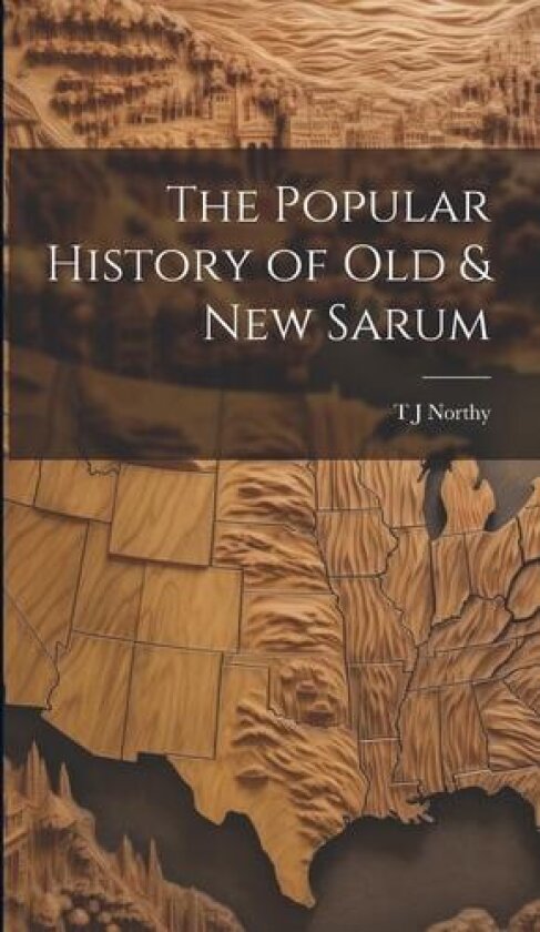 The Popular History of Old & New Sarum av T J Northy (Hardcover)