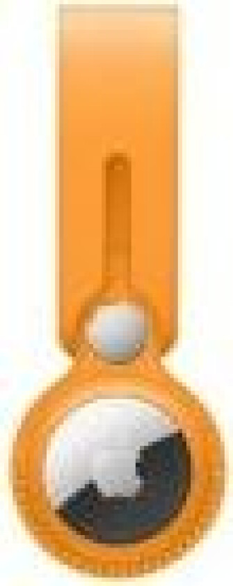 Bilde av - Eske for airtag - lær - meyer-sitron - for AirTag