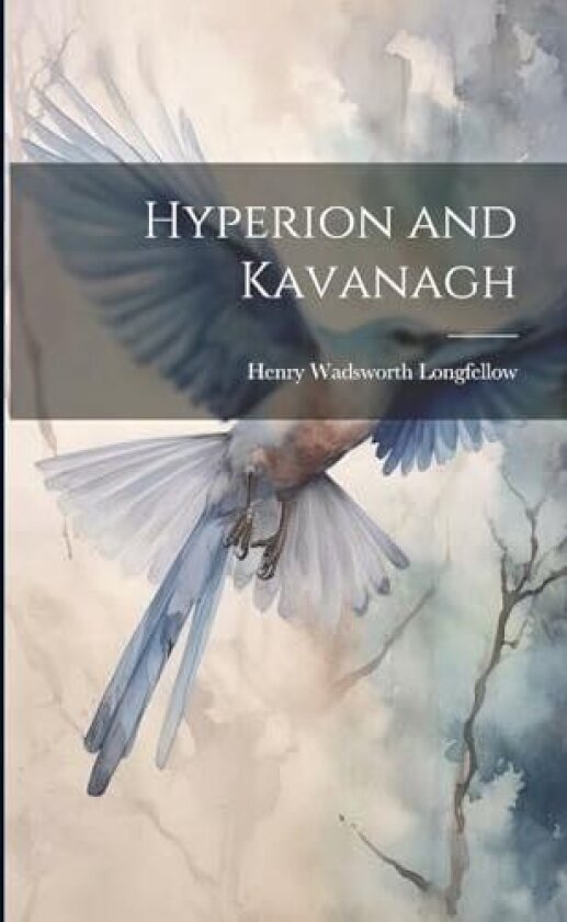 Hyperion and Kavanagh av Henry Wadsworth Longfellow (Paperback)