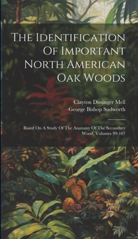The Identification Of Important North American Oak Woods av George Bishop Sudworth (Hardcover)