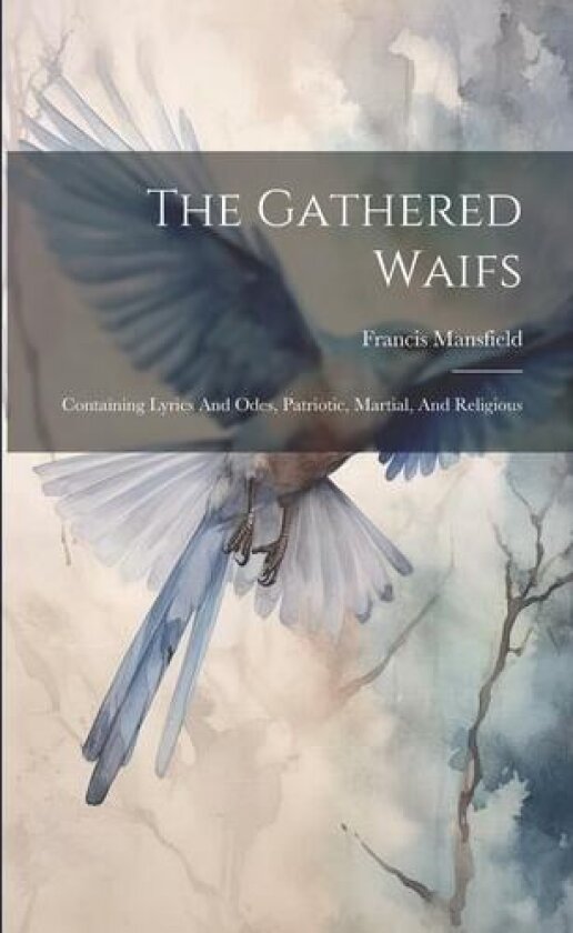 The Gathered Waifs av Francis Mansfield (Paperback)