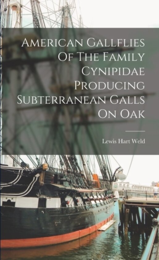 American Gallflies Of The Family Cynipidae Producing Subterranean Galls On Oak av Lewis Hart Weld (Paperback)