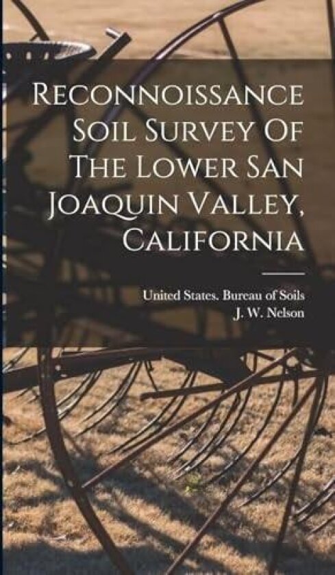 Reconnoissance Soil Survey Of The Lower San Joaquin Valley, California av J W Nelson (Paperback)