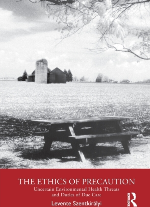 The Ethics of Precaution av Levente Szentkiralyi (Paperback)