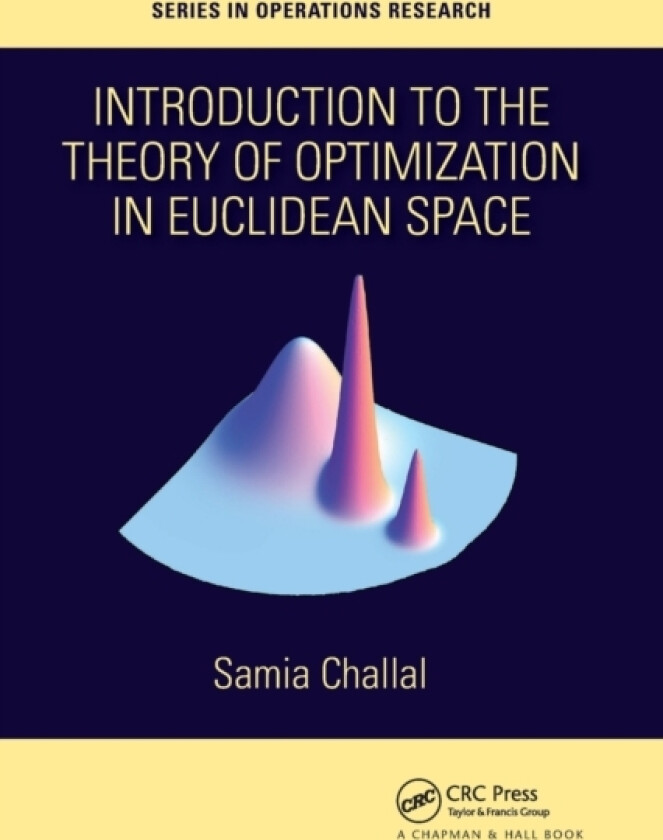 Introduction to the Theory of Optimization in Euclidean Space av Samia Challal (Paperback)