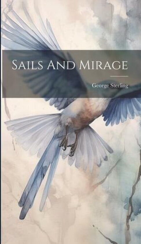 Sails And Mirage av George Sterling (Hardcover)