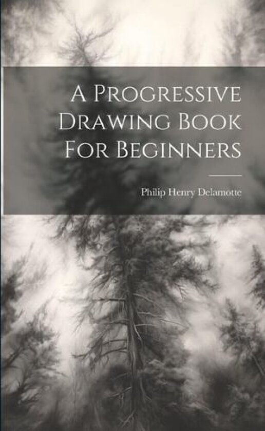 A Progressive Drawing Book For Beginners av Philip Henry DeLamotte (Paperback)