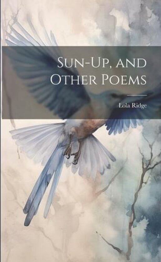 Sun-Up, and Other Poems av Lola Ridge (Paperback)