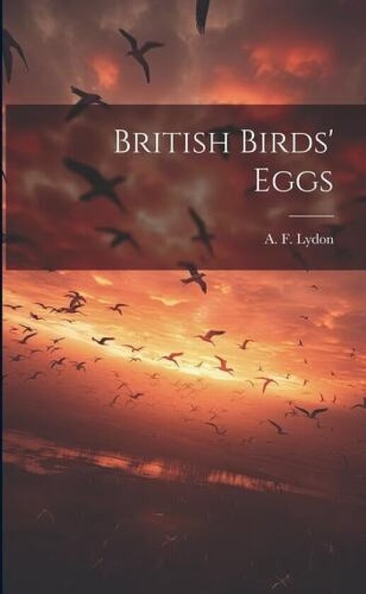 British Birds' Eggs av A F Lydon (Paperback)