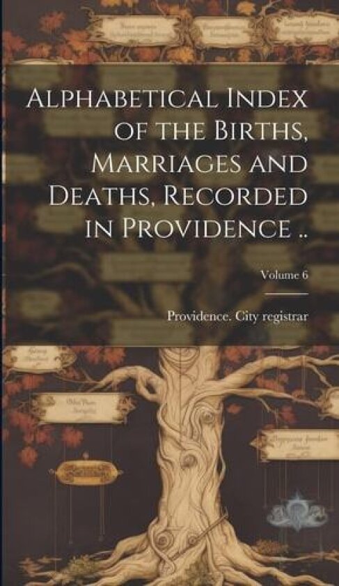 Alphabetical Index of the Births, Marriages and Deaths, Recorded in Providence ..; Volume 6 av Providence City Registrar [From Old (Hardcover)