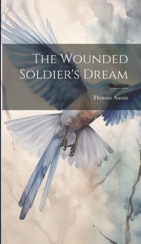 The Wounded Soldier's Dream av Thomas Austin (Hardcover)