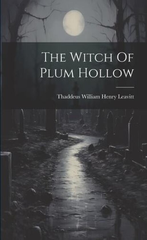 The Witch Of Plum Hollow av Thaddeus William Henry Leavitt (Paperback)