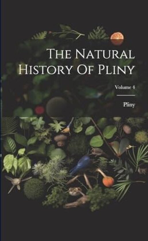 The Natural History Of Pliny; Volume 4 av Pliny Pliny (the Elder ) (Paperback)